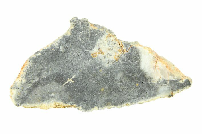 Lunar Meteorite ( g) Slice - Bechar #291678